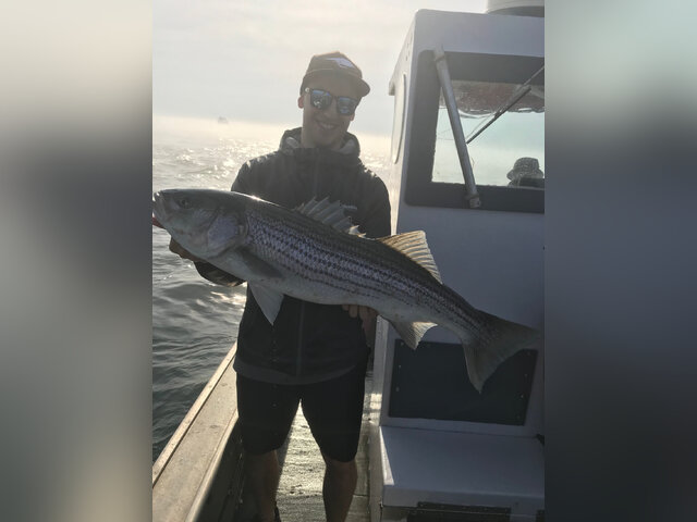 Listing image 717379