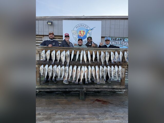 Listing image 1303737