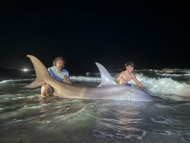 Listing image 1083812