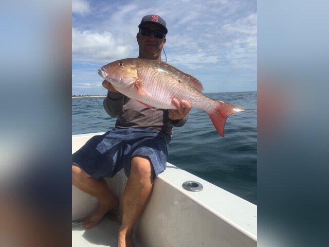 Listing image 718263