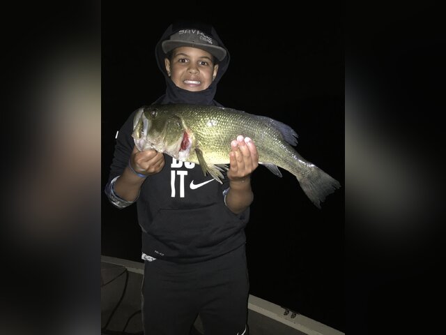 Listing image 718476