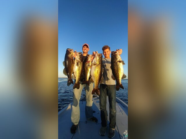 Listing image 629643