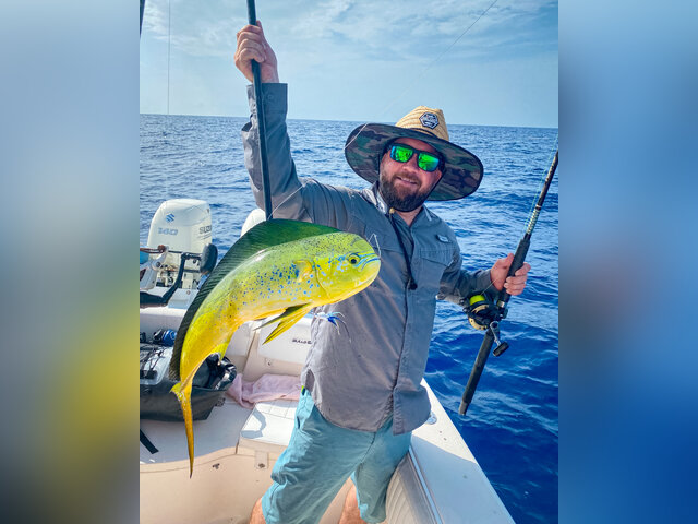 Listing image 722617