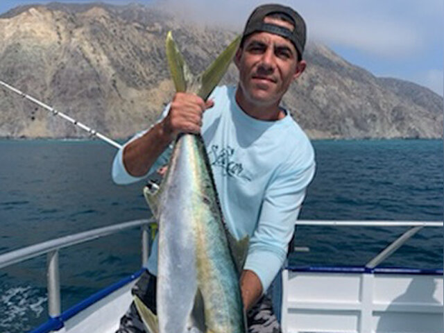 Listing image 735915