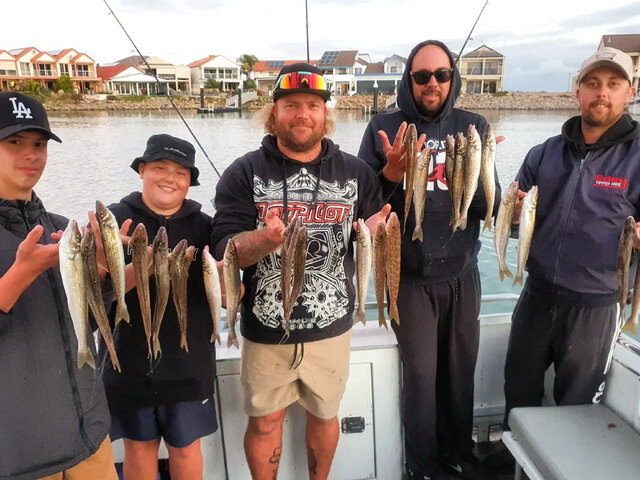 Listing image 731658