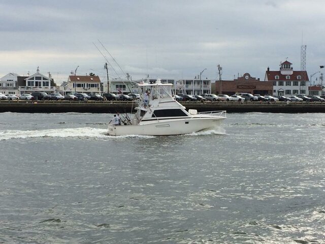 Listing image 723272