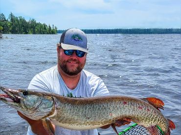 Out of the Blue – NWO