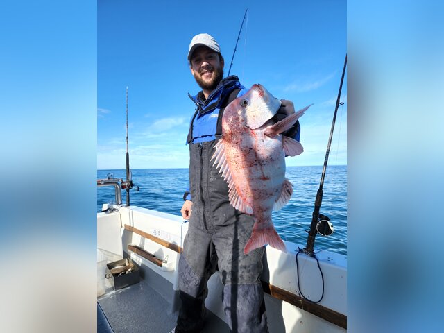 Listing image 767601