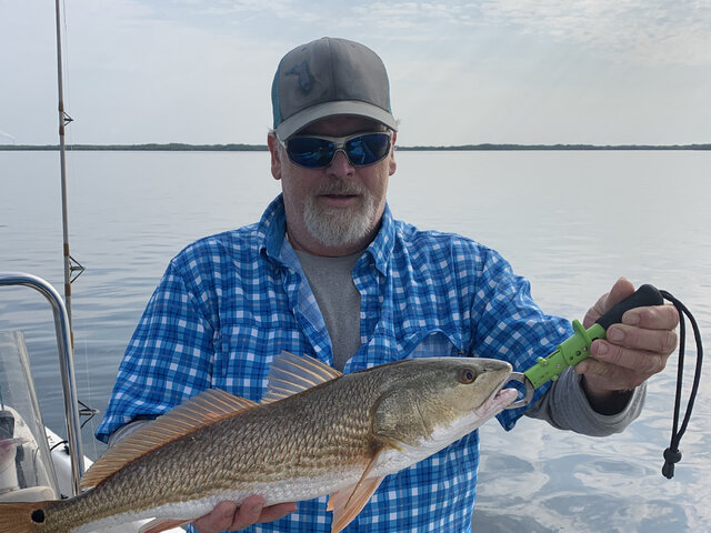 Listing image 748496