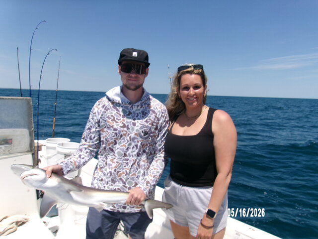 Listing image 1377671