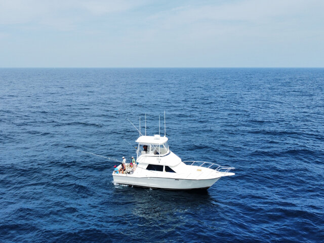 Listing image 749357