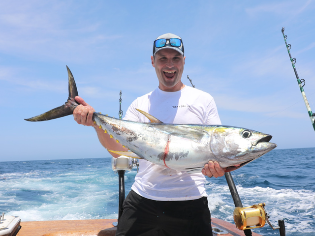 Listing image 727700