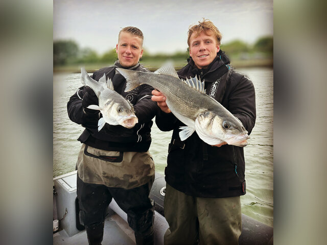 Listing image 1199784