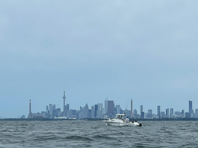 Listing image 751028