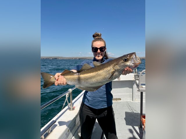 Listing image 1200416