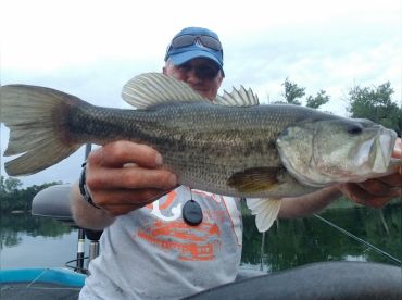 NY HarborFishing –  Delaware River thumbnail