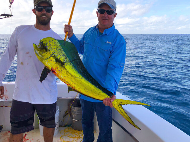 Listing image 750994