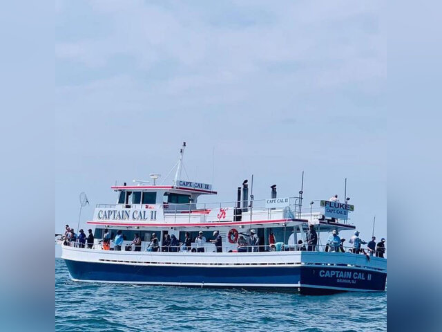 Listing image 734833