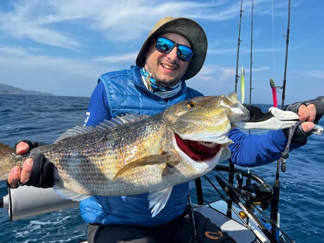 Listing image 733779