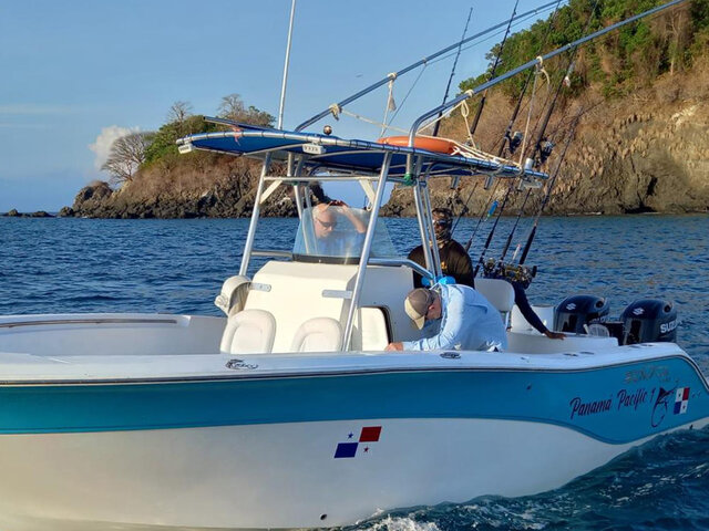 Listing image 746406