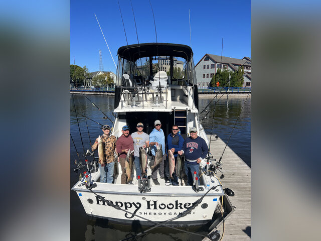 Listing image 1024335
