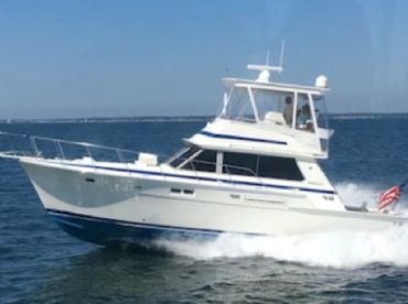 Galveston Charter Fishing thumbnail