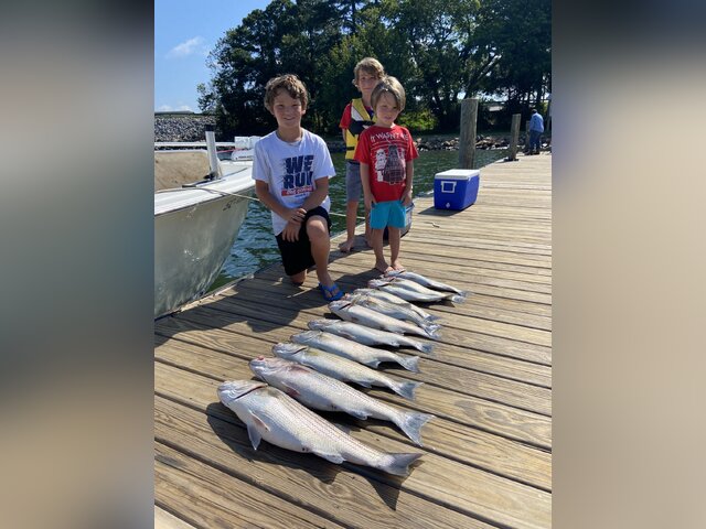 Listing image 735400