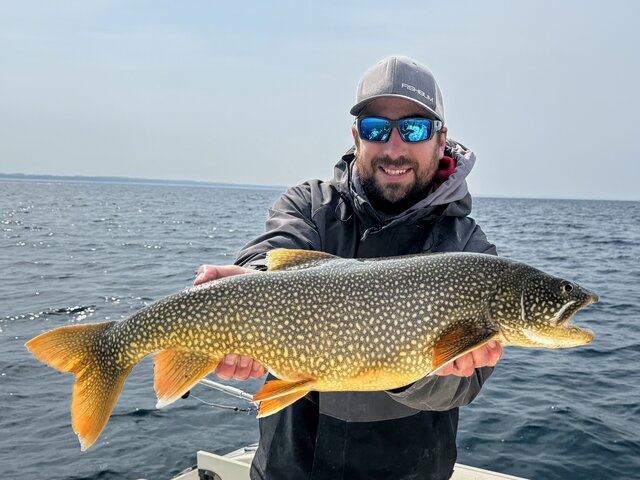 Listing image 1215724