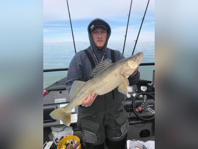 Listing image 737101