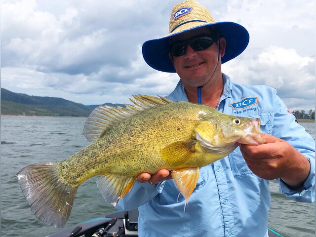 Listing image 743123