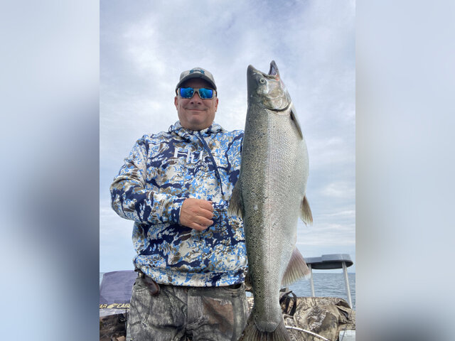 Listing image 740319