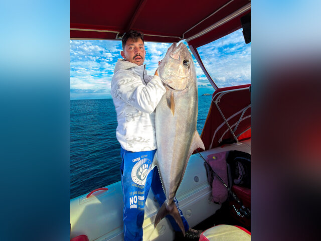 Listing image 1294141