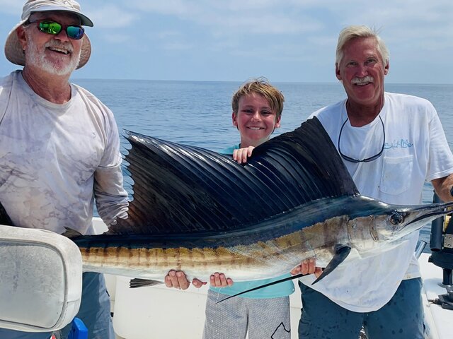 Listing image 742578