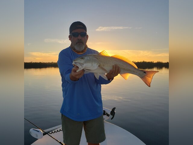 Listing image 430156