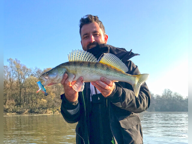 Listing image 776879