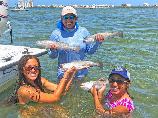 Listing image 767434