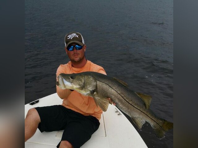 Listing image 747237