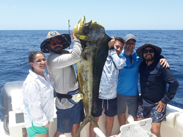 Listing image 755347