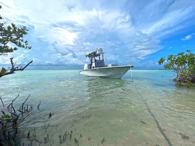 Listing image 756075