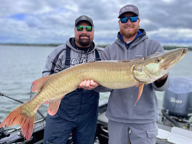 Listing image 1000970