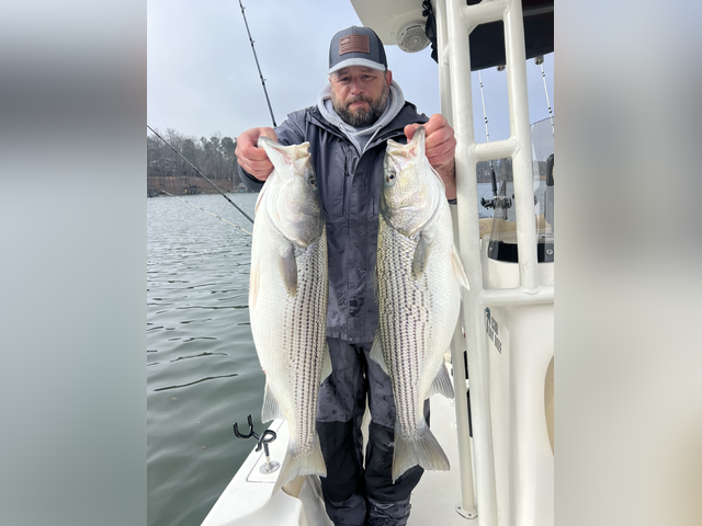 Listing image 997710