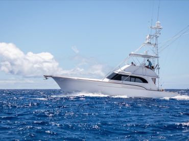 Apex Kauai Luxury Sport Fishing Charters–A/C thumbnail