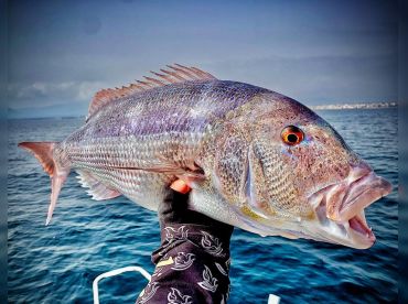 Cap Salou Fishing Experience