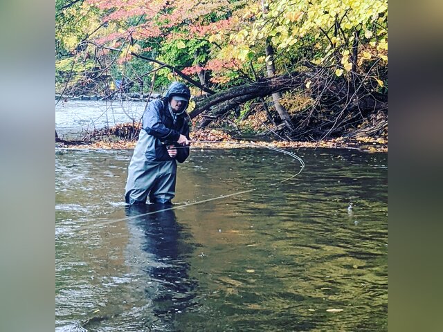 Listing image 778518