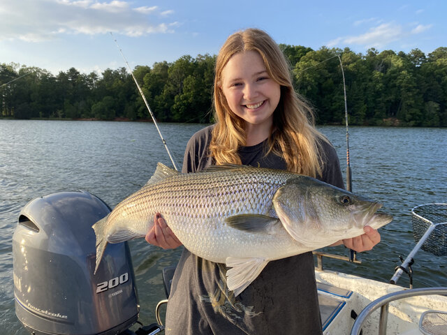 Listing image 974355