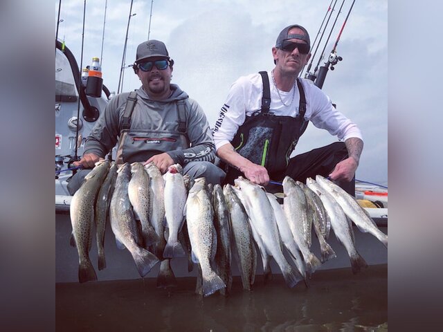 Listing image 759883