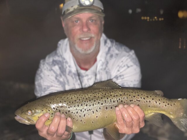 Listing image 759909