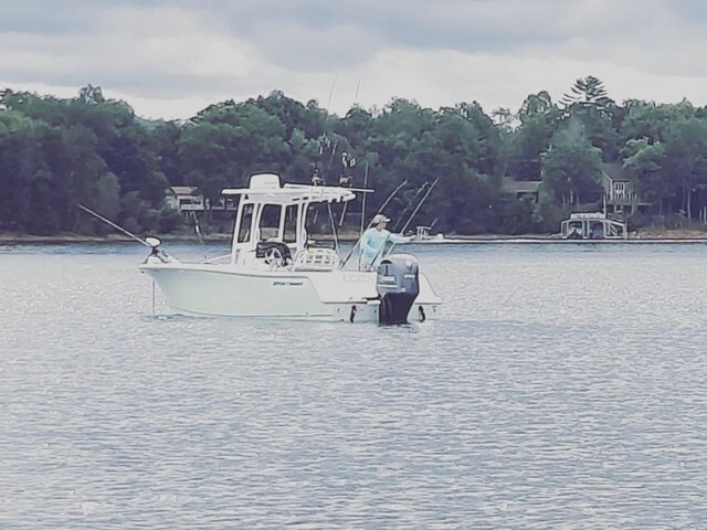 Listing image 761945