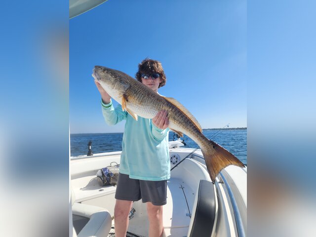 Listing image 863821