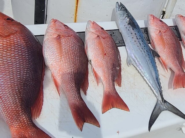 Listing image 762695